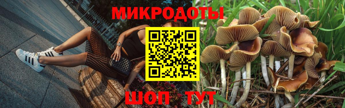 Галлюциногенные грибы Psilocybe  Вход с VPN  Великий Новгород 